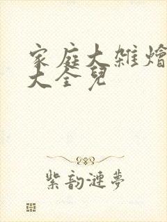 家庭大杂烩小说大全儿