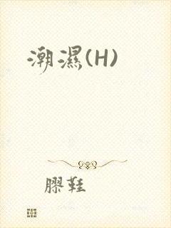潮湿(H)