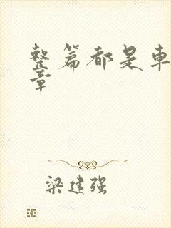 整篇都是车的文章