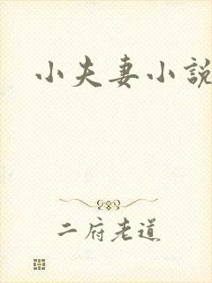 小夫妻小说