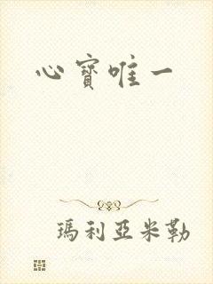 心宝唯一