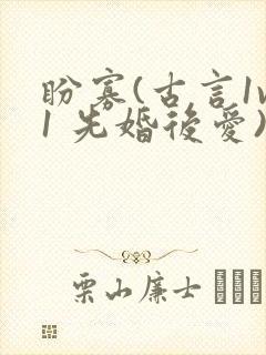 盼寡(古言1v1 先婚后爱)荔枝好多