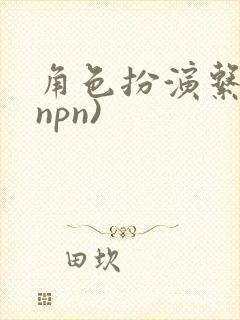 角色扮演系统(npn)