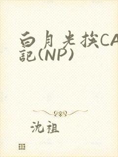 白月光挨CAO记(NP)