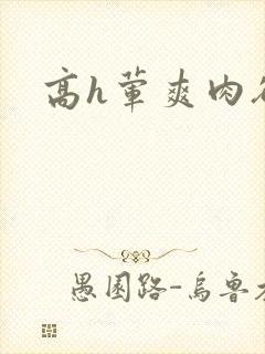 高h荤爽肉欲文