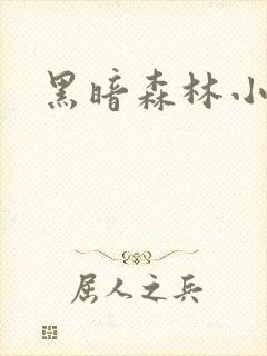 黑暗森林小说