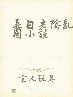 长日光阴乱作一团小说