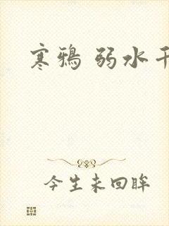 寒鸦 弱水千流