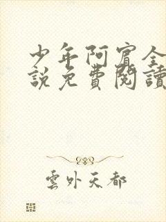 少年阿宾全文小说免费阅读笔趣阁