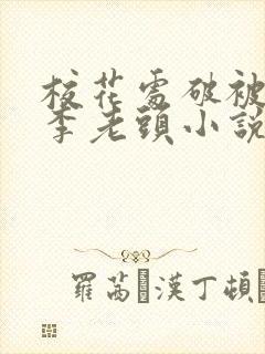 校花处破被灌满李老头小说