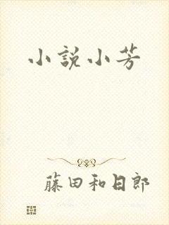小说小芳