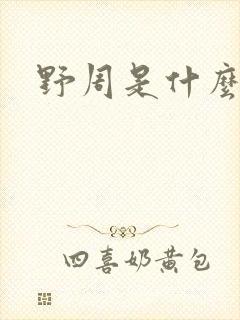 野周是什么意思