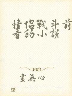 情侣战斗前适合看的小说