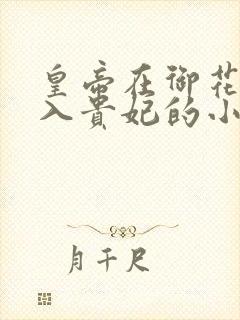 皇帝在御花园进入贵妃的小说