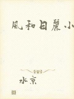 风和日丽小说