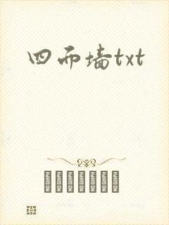 四面墙txt