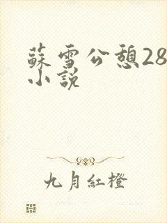 苏雪公憩28篇小说