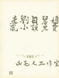 老刘日儿媳妇张岚小说免费阅读