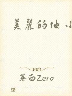 美丽的他 小说