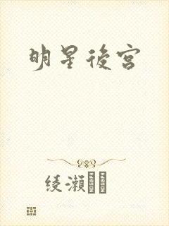 明星后宫