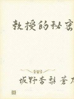 教授的秘密