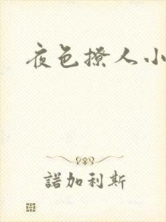 夜色撩人小说