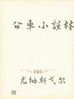 公车小说林蔓蔓