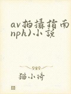 av拍摄指南(nph)小说
