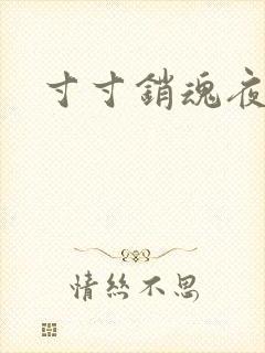 寸寸销魂夜春光