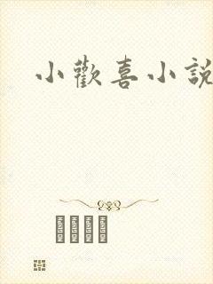 小欢喜小说