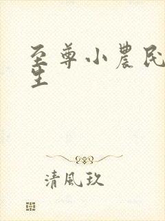 至尊小农民王木生