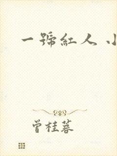 一号红人 小说
