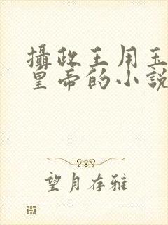 摄政王用玉髓整皇帝的小说