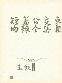 短篇公交车高h肉辣全集目录