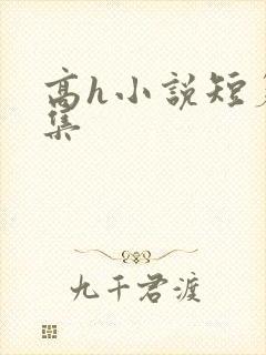 高h小说短篇合集