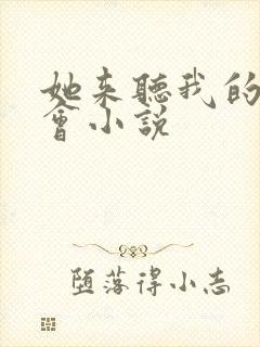 她来听我的演唱会小说