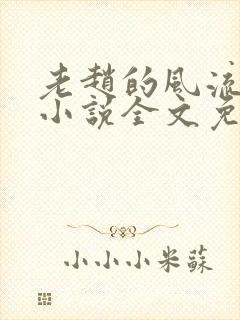 老赵的风流人生小说全文免费阅读