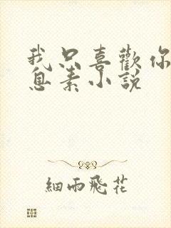 我只喜欢你的信息素小说