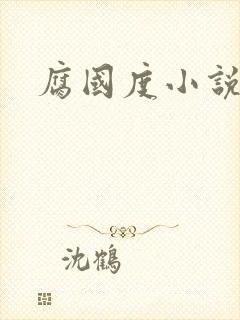 腐国度小说
