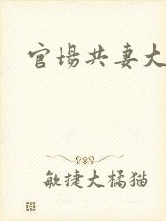 官场共妻大交换