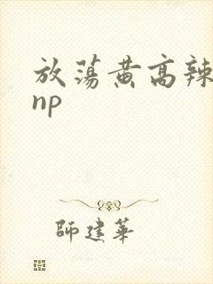 放荡黄高辣h文np