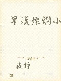 星汉灿烂小说