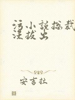 污小说总裁整夜没拔出