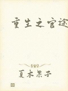 重生之官途辉煌