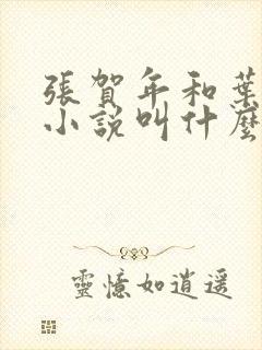 张贺年和叶繁姿小说叫什么名字