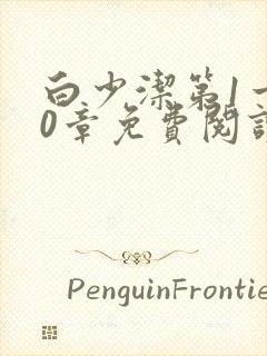 白少洁第1一40章免费阅读