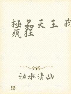 极品天王 我本疯狂