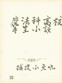 魔法科高校的劣等生小说