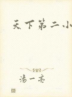 天下第二小说