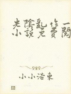 光阴乱作一团的小说免费阅读